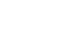 Battery Acid logo